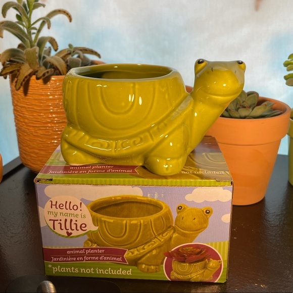 Tilly Turtle Ceramic Succulent Flower Planter - Picture 6 of 7